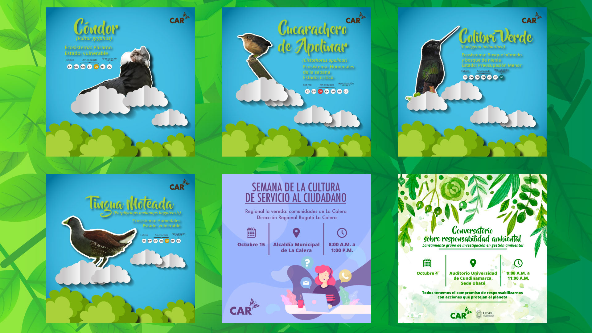 Piezas de Facebook e Instagram de CAR, tanda 4