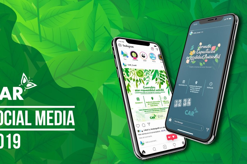 CAR · Social Media 2019
