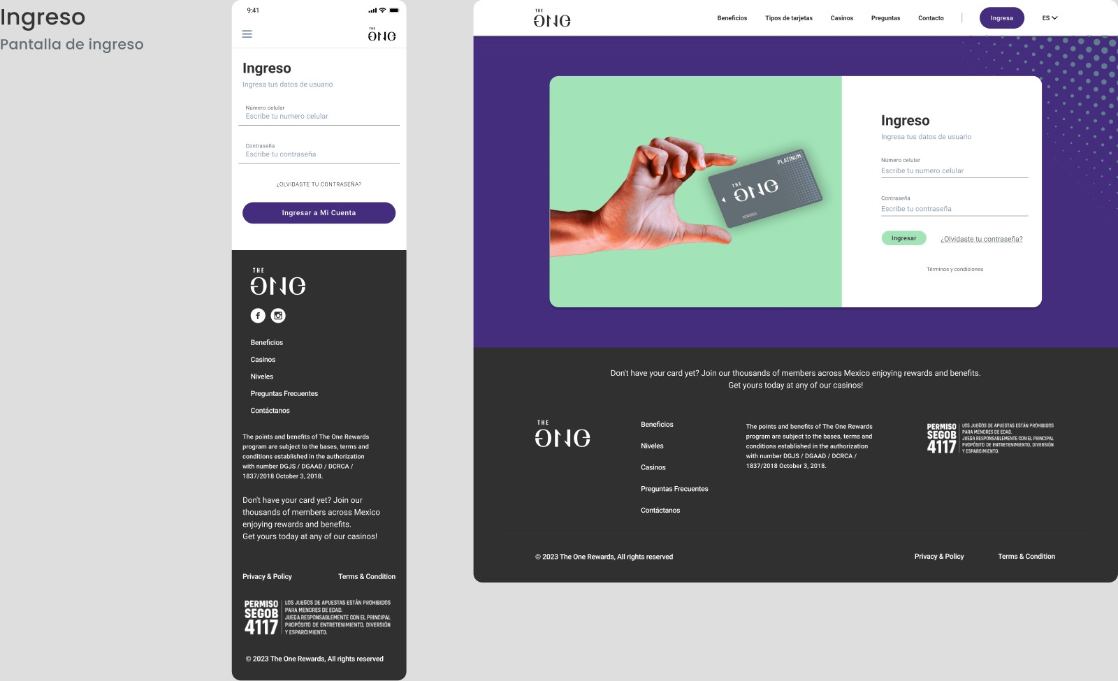 Ingreso al sitio web
