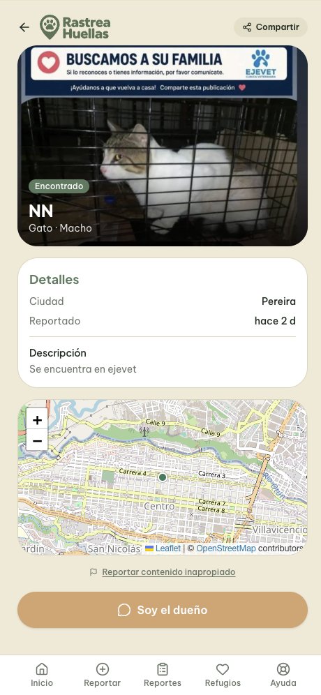 Detalle de un reporte de mascota