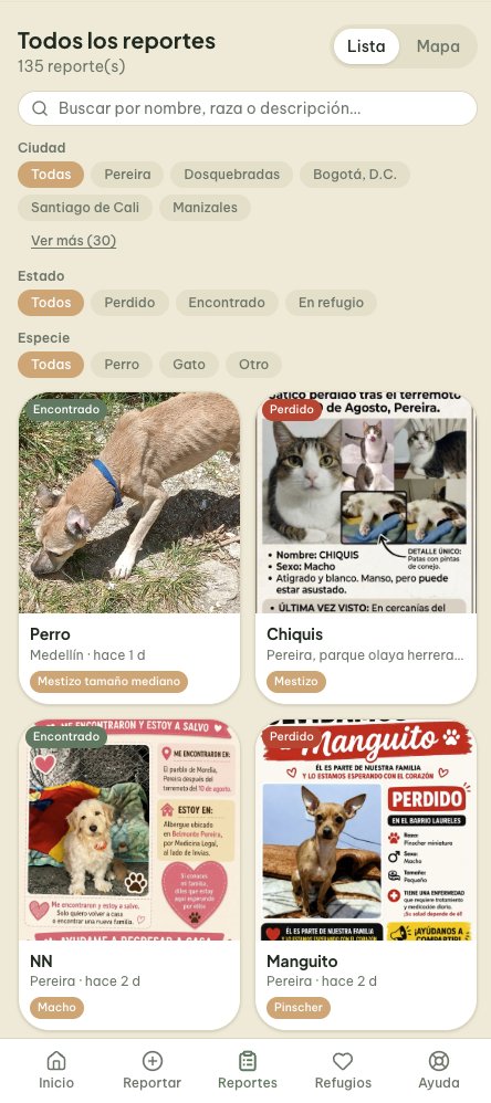 Lista de reportes de mascotas con filtros